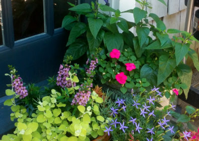 Summer containers on porch.